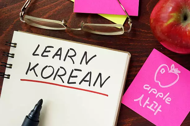 Korean Language Proficiency 